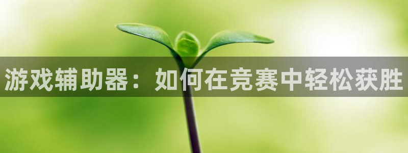 新宝gg负责人名单公布：游戏辅助器：如何在竞赛中轻松获胜